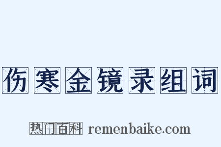 伤寒金镜录组词是什么意思的图片